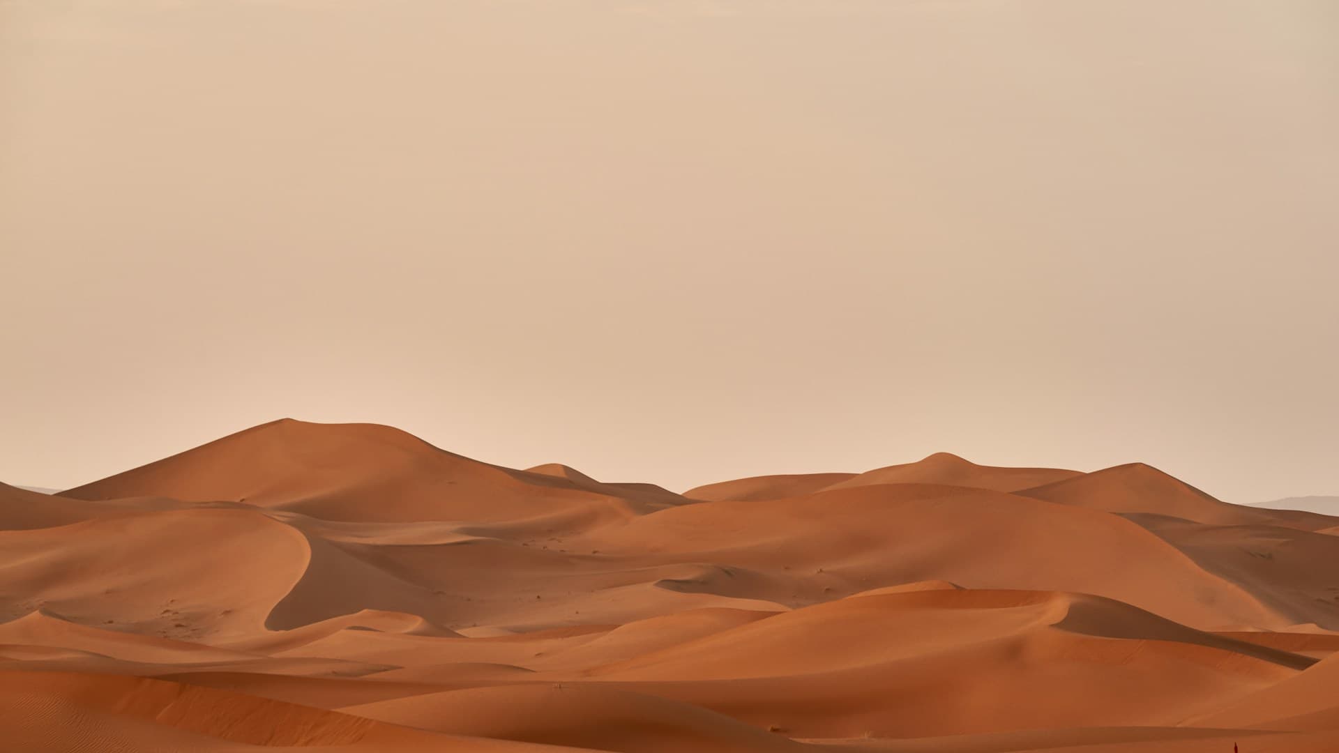 Golden sand dunes