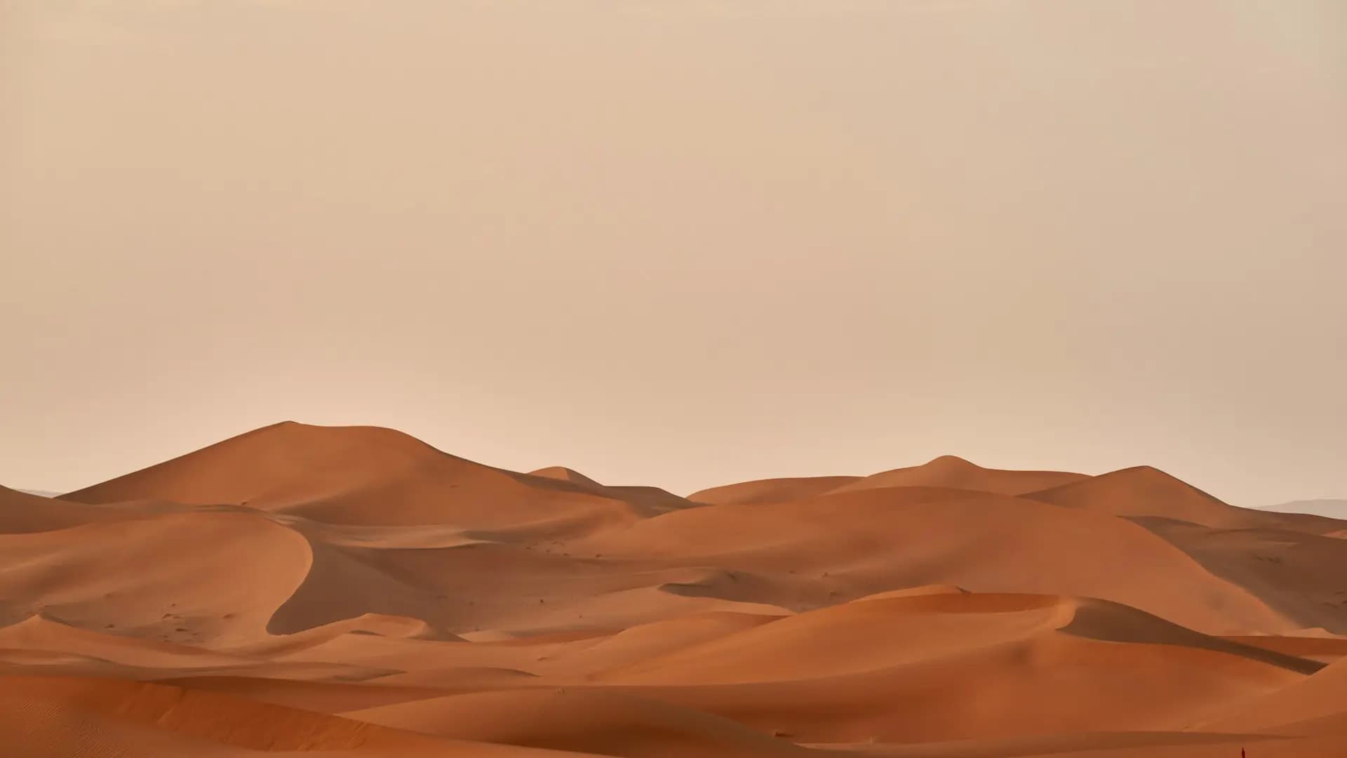 Golden sand dunes