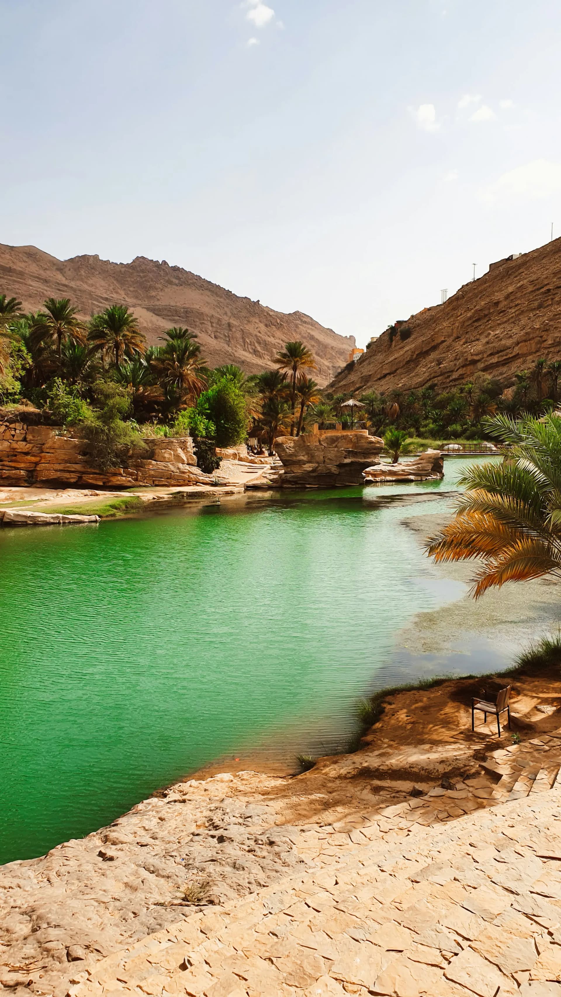 Desert Oasis