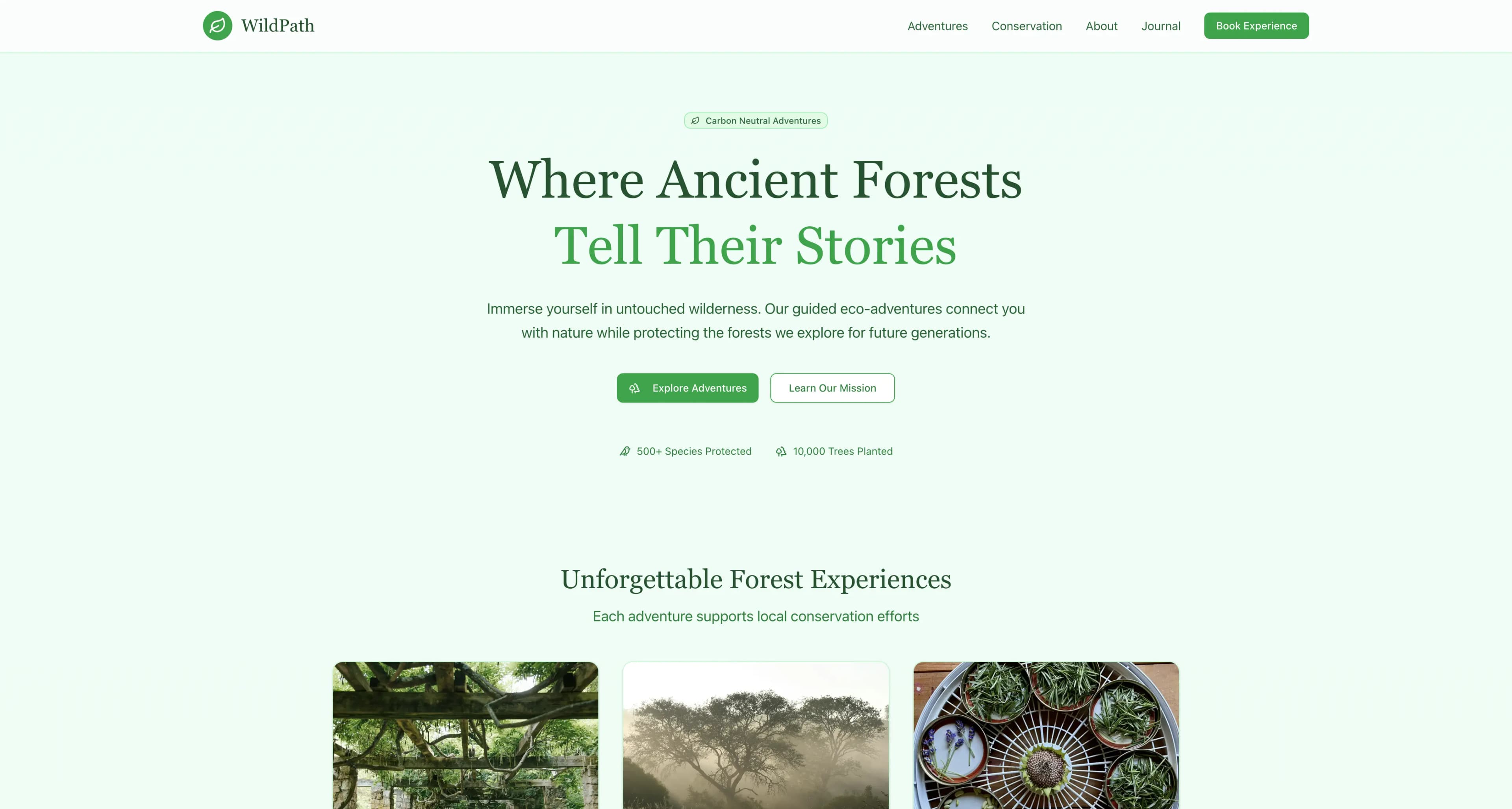 Forest preview